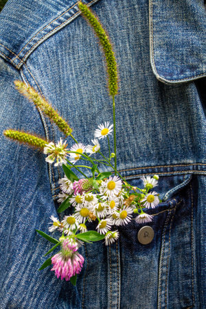 Bouquet of wildflowers in the breast pocket of a denim jacketの写真素材