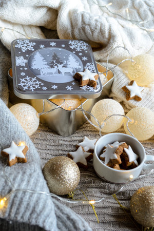 A box with a New Year's garland and a cup with gingerbread stars on a knitted blanket