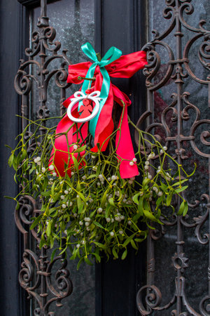 A green mistletoe branch decorated with a red bow on the front doors