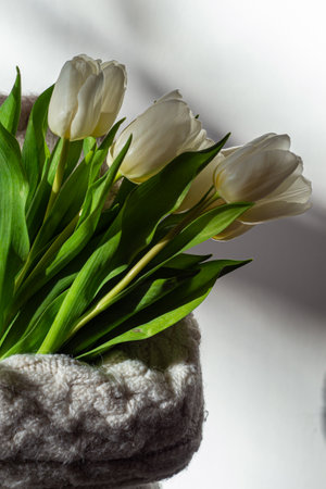 A child in a knitted sweater holds a bouquet of tulips.の写真素材