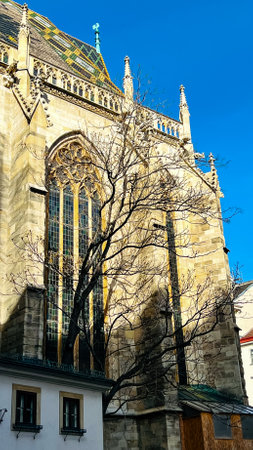 View of the facade of the Catholic Cathedral in the rays of the setting sun.の写真素材