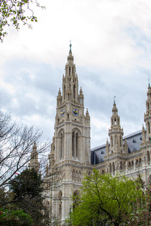 View of the City Hall clock tower through the tree branches.の写真素材