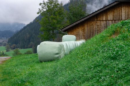 View of haystacks packed in polyethylene, hay harvesting for the winter.の写真素材