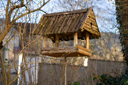 View of a wooden feeder house. Feeding area for wild birds and animals in winterの写真素材