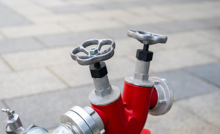View of two head lush red color fire hydrant water valve pole.の写真素材