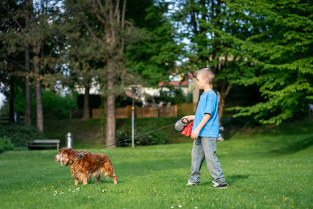 A cute boy in a blue T-shirt walks on a leash with spaniel dog in a city park