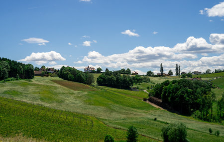 A view of the vibrant green farm vineyards in southern Styria, Austria