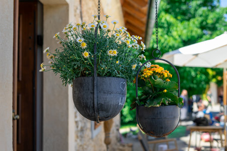 Two hanging flower pots with bushes of various blooming flowers on the verandaの写真素材