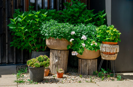 Many different pots with flowers standing on the street to decorate the terraceの写真素材