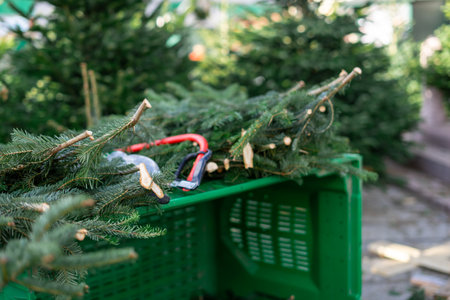 Cut down spruce branches at the Christmas tree market. Selling grown Christmas trees.