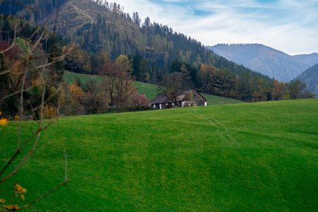 Idyllic landscape in the Alps with fresh green meadows against the backdrop of mountains with autumn forest.の写真素材