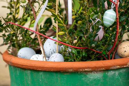 Speckled pastel eggs placed in a garden planter among fresh leaves. Close-up spring decoration symbolizing Easter celebration and renewal.の写真素材