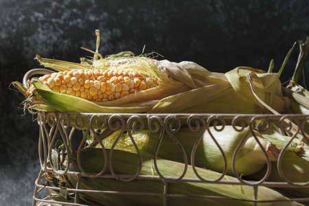 Fresh corn in the basket. Young corn in rustic style on a dark backgroundの写真素材