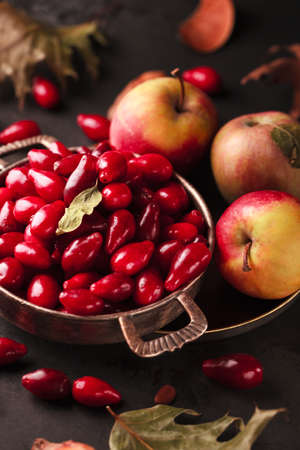 Dogwood in a retro plate. Dogwood and apples. Autumn berry with leaves. Autumn berries and fruits on...