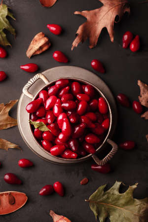 Dogwood in a retro plate. Dogwood and apples. Autumn berry with leaves. Autumn berries and fruits on...