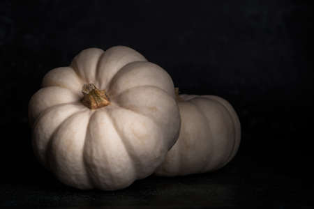 White pumpkins on a dark background. 2 white pumpkins. Halloween. Autumn harvest