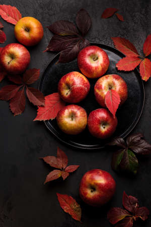 Autumn Apple harvest. Red apples in the autumn scene. Apples are close upの写真素材