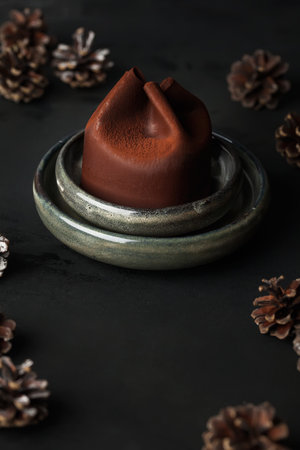 Chocolate cake in the form of a gift. new year's cake chocolate new year. dark background. Christmas sweet cakeの写真素材