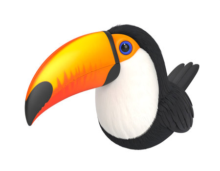 In a tropical setting, a lively toucan displays its striking orange and black feathers.の素材