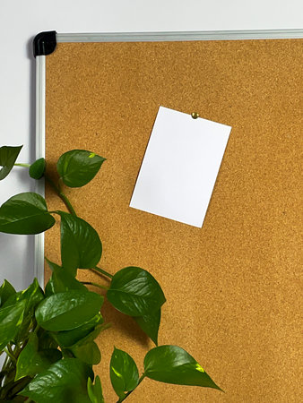 A cork bulletin board displays a white note pinned with a brass tack. A vibrant green plant with...