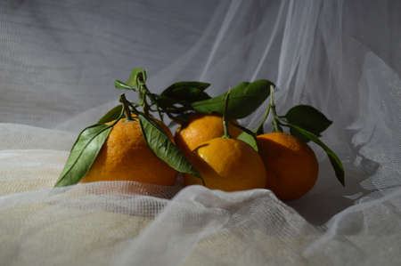 Ripe mandarines tangerines with green leaves and branches on white cloth