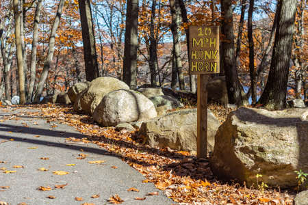 Wood speed limit sign in park in woods