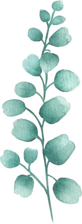 Eucalyptus. botanical illustration. watercolor sketch. hand drawn artwork.の写真素材