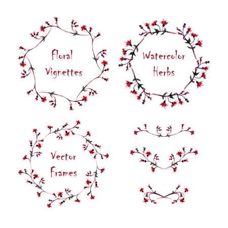 Set of round frames and vignettes made of watercolor  thistle. Hand-painted watercolor design elements isolated on white. Perfect for greetings, invitations, web design.のイラスト素材