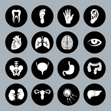 Set of vector Medical Icons with human organs in flat style. Medical white icons on black basis. Human anatomy flat icons for web and mobile applications.のイラスト素材