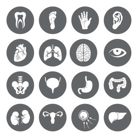 Set of vector Medical Icons with human organs in flat style. Medical white icons on black basis. Human anatomy flat icons for web and mobile applications.のイラスト素材