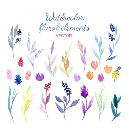 Set of different watercolor floral elements. Hand drawn herbs isolated on white. Vector illustration.のイラスト素材