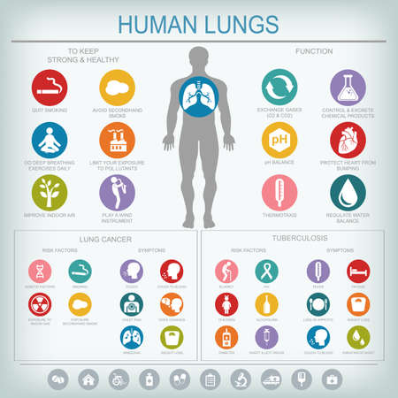 Medical infographics. Lungs function and health. Lung cancer and tuberculosis: risk factors and symptoms. Vector illustration.のイラスト素材