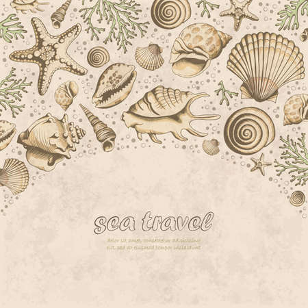 Vector vintage Poster with seashells, corals and starfishes. Marine background. Travel Template. Hand drawn vector illustration in sketch style.のイラスト素材