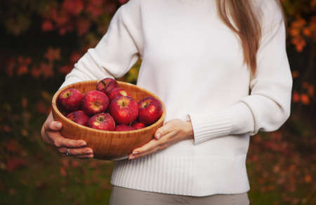 Hands holding wooden bowl with organic apples on a background of red and orange autumn leavesharvesting in the garden Fresh applesの写真素材