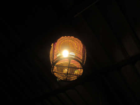lump birdの写真素材