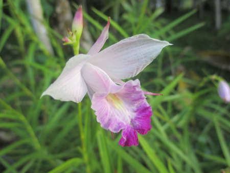 love aloneの写真素材