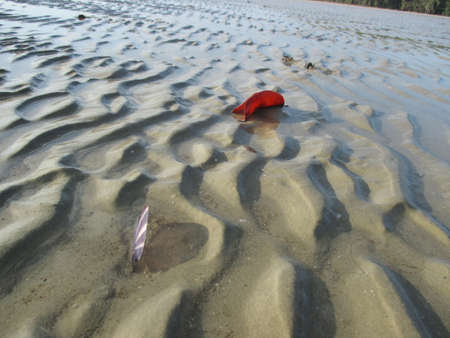 wave sandの写真素材