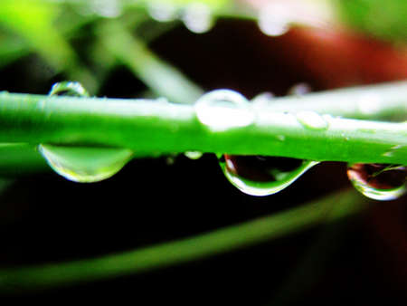 dropの写真素材