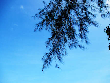 blue skyの写真素材