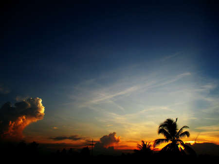 The sky lightの素材