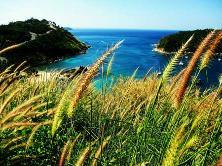 Travel in Thailandの素材