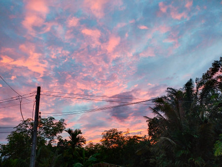 Beautiful pink cloudの写真素材