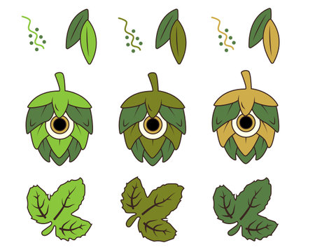 hops hop leaves flat vector illustration brewery beerのイラスト素材