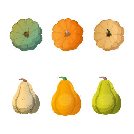 Set of pumpkins of different colors and sizes. vector illustration. Elements for Thanksgiving and Halloween celebration.のイラスト素材