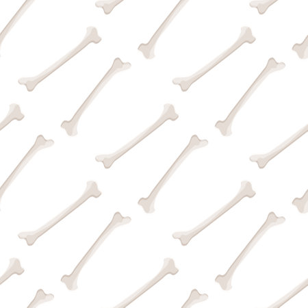 Seamless pattern organ bone on white background. Vector Illustration.のイラスト素材