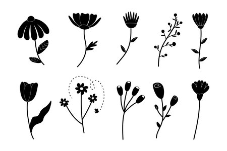 Silhouette black and white set of flowers, spring, hand painted. For decorating cards, wedding invitations, your design vectorのイラスト素材