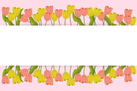 Horizontal mockup for postcard, tulips on background, white stripe. vector illustration flowersのイラスト素材