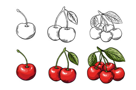 Cherry berry sketch set, engraving. black and white. Fruit vector isolated on white backgroundのイラスト素材