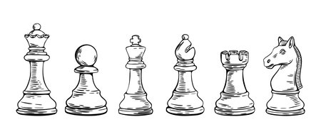 Detailed hand drawn lineup of chess pieces in sketch style. Includes all standard figures for classic gameplay and illustrations.のイラスト素材