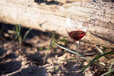 a glass of red wine stands on the sand against a background of dry woodの写真素材